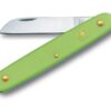 Gartenmesser Blumenmesser grün