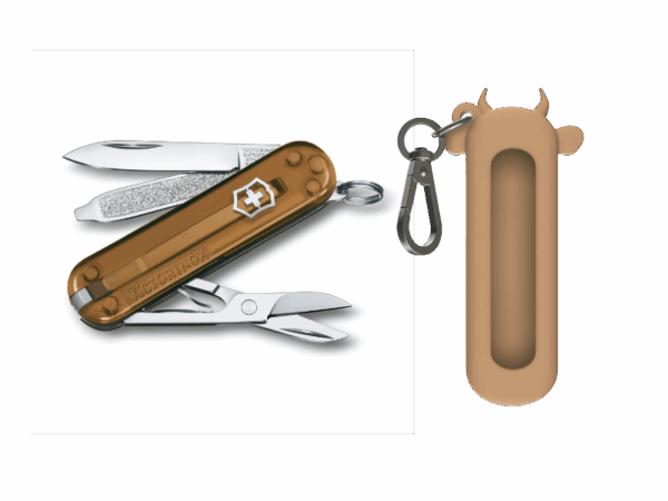 Kleines Taschenmesser Braun Transparent Classic SD Color-SET mit Silikon Etui