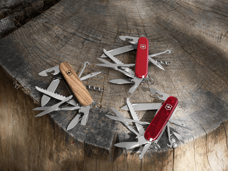 auswahl mittlerer taschenmesser holzschale rot und rottransparente schale auf holzuntergrund baumstamm